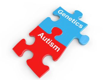 Due pezzi di puzzle, con le scritte "Autism" e "Genetics"