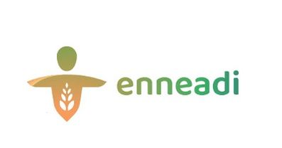 Logo del progetto "ENNEADI"