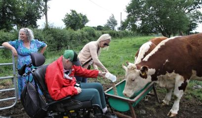 Irlanda, "Social Farming"