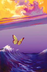 Disegno con farfalla sul mare