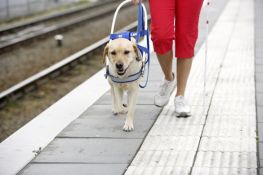 Particolare delle gambe di una donna non vedente insieme a un cane guida, sui bordi di un binario ferroviario