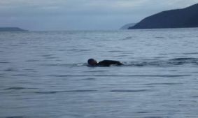 Un uomo solo nuota nelle gelide acque dello Stretto di Cook in Nuova Zelanda: è Salvatore Cimmino, nuotatore con disabilità