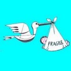 Disegno di cicogna che porta bambino in un fagottino con la scritta «fragile»: simboleggia l'osteogenesi imperfetta