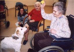 Persona anziana con disabilità e cane, insieme ad altre persone anziane