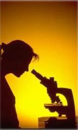 Ombra di ricercatrice al lavoro al microscopio