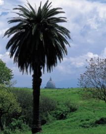Un'immagine del Parco del Pineto a Roma